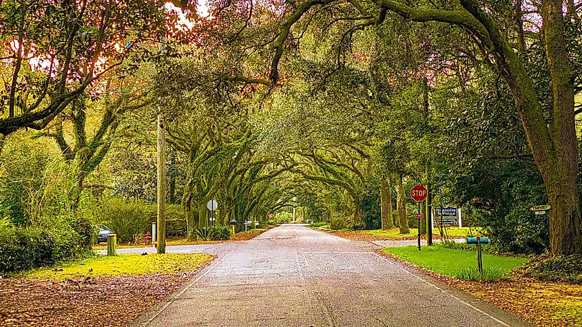 Sun set time on Oak Street, Magnolia Springs, Alabama