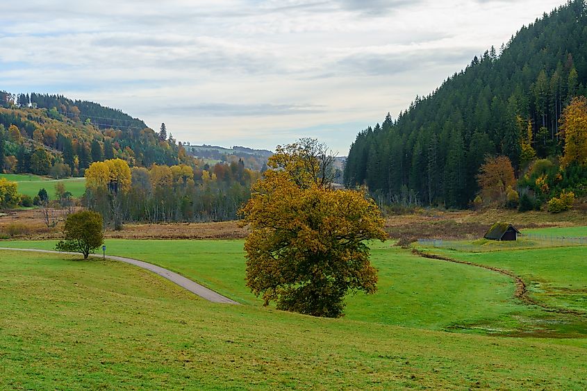 View of a countryside landscape, in the Black Forest, Baden-Wurttemberg, Southwest Germany.