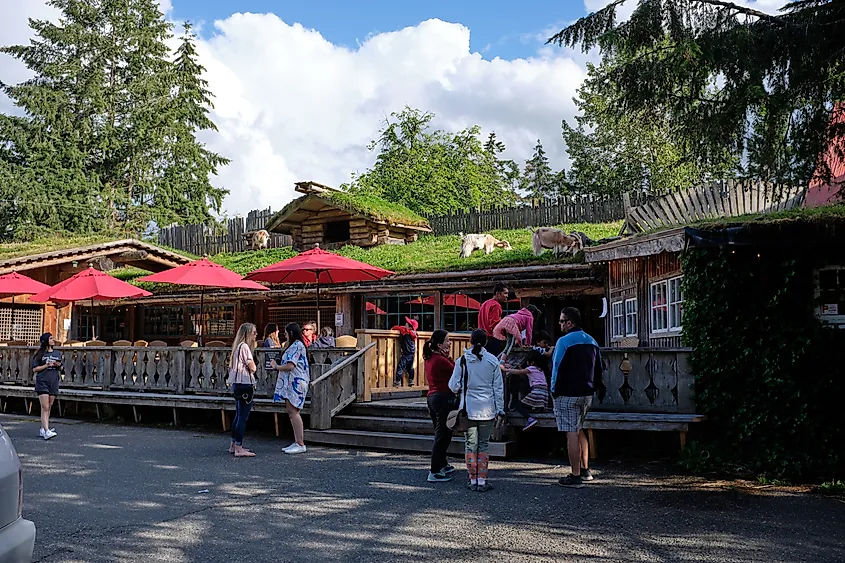 Goats grazing on the roof of the Old Country Market in Coombs, British Columbia, Canada.