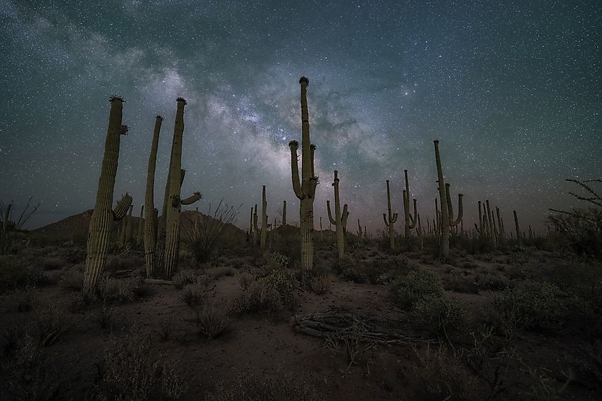 Beautiful night sky near Saguaro National Park in Arizona.