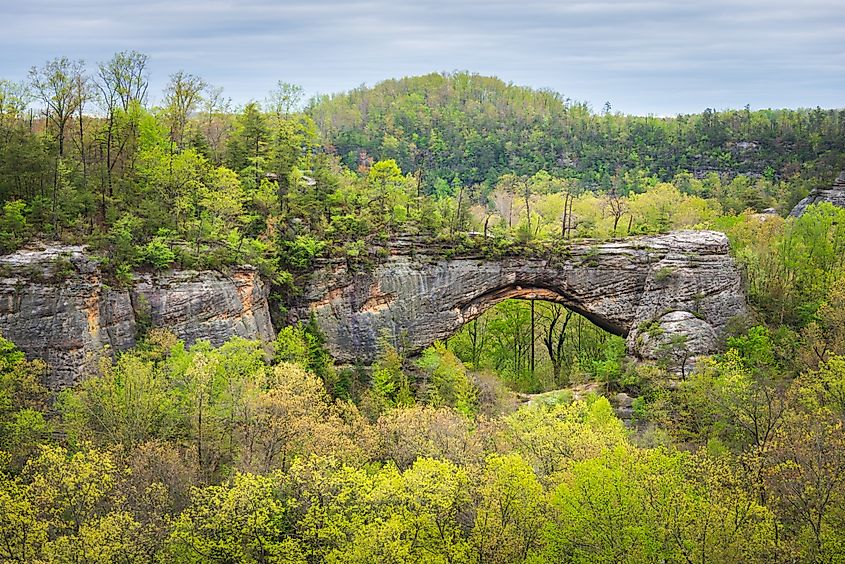 Daniel Boone National Forest, KY.
