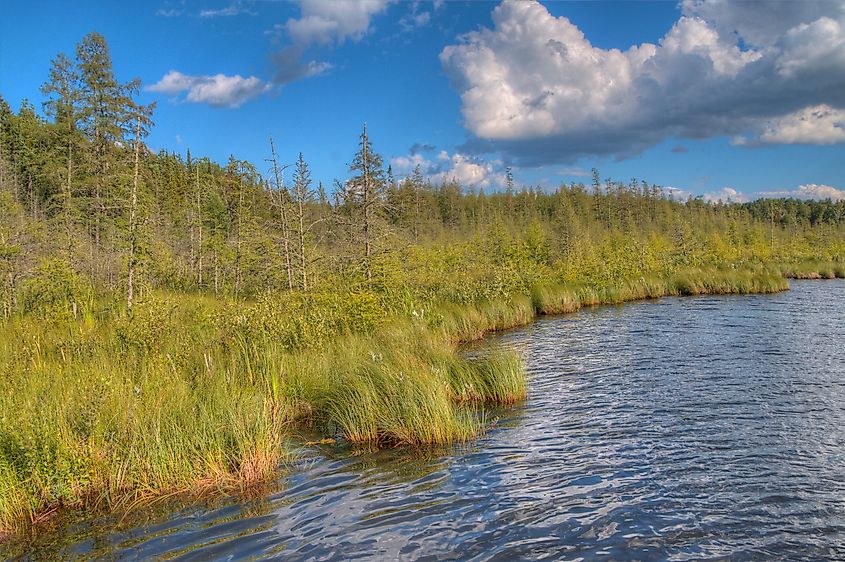 Bemidji State park shares Lake Bemidji with the town of Bemidji in northern Minnesota.