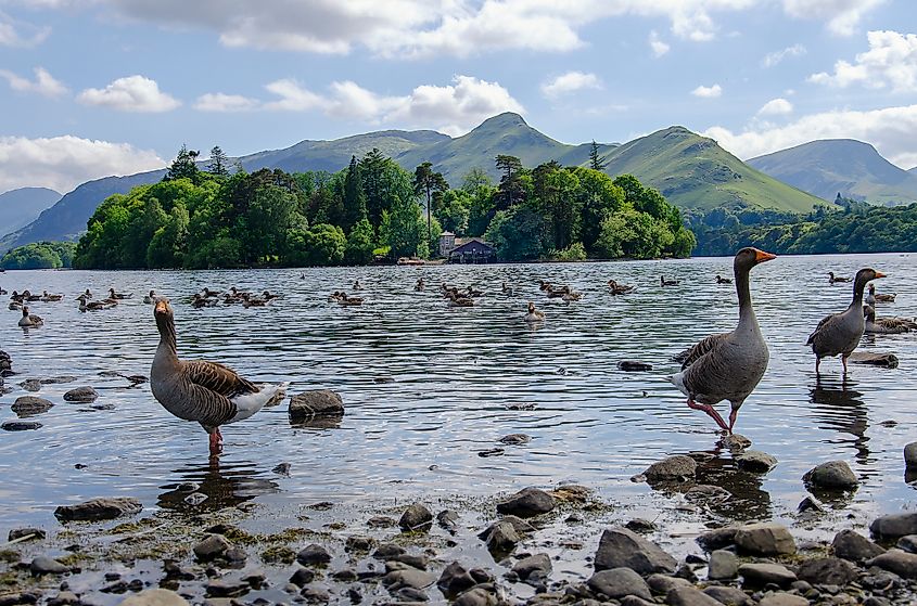  Ullswater Lake, Lake District, UK