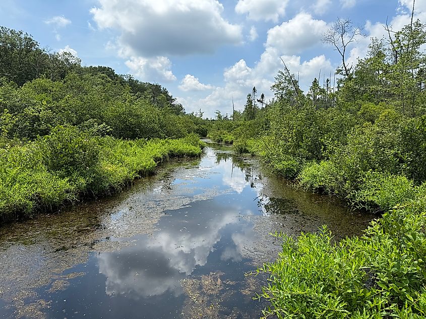 Cranberry Creek.