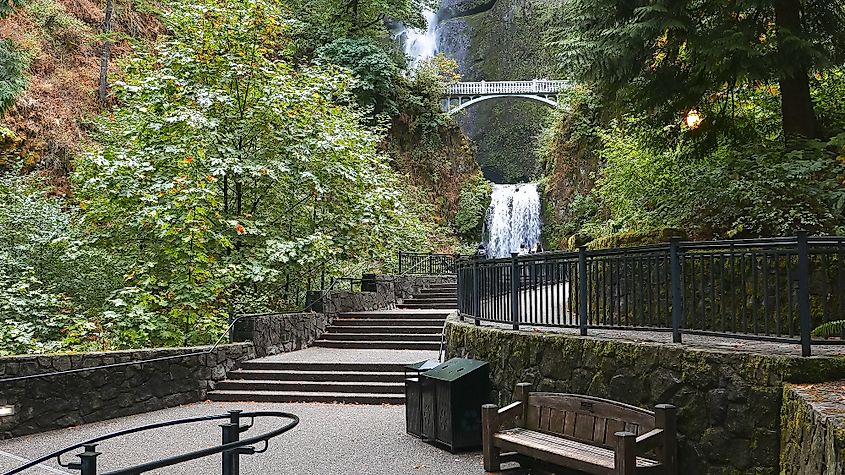 Way to the Multnomah Falls 