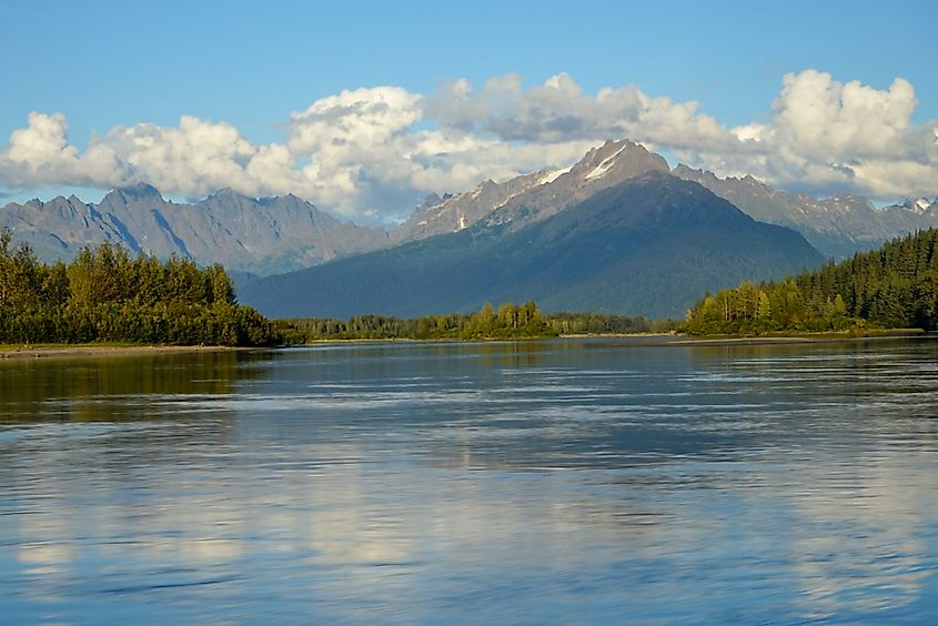 Alleged snake sightings have occurred along the Taku River.