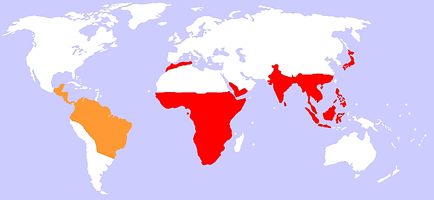 A map of the natural worldwide distribution of monkeys. New world monkeys are in orange, old world monkeys are in red.