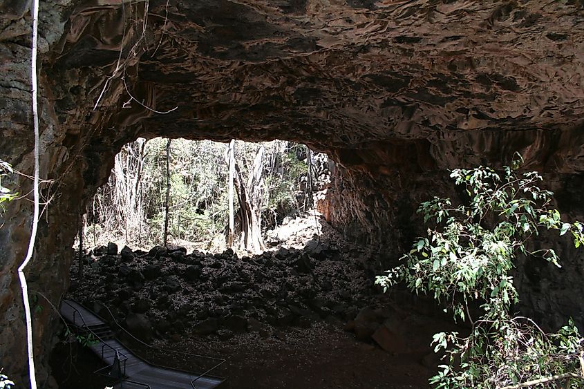 Undara Lava Tubes national park, Queensland, Australia.