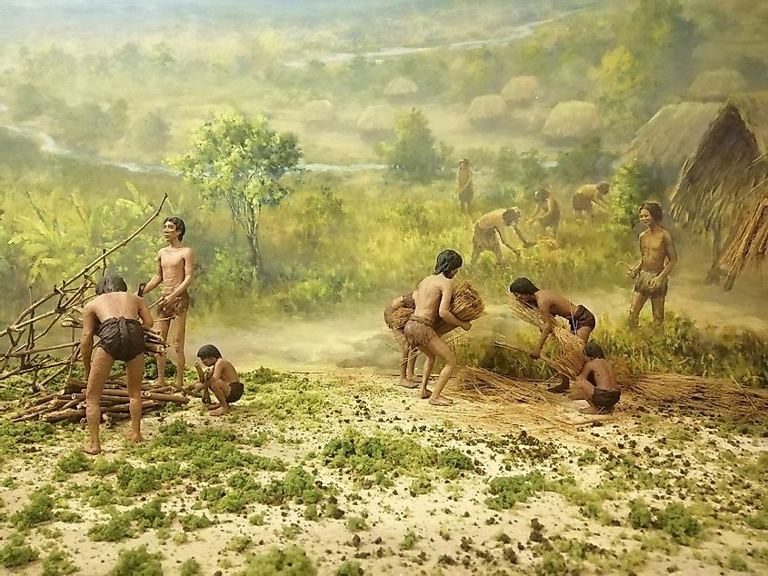 Agriculture allowed humans to settle down and establish villages and cities.
