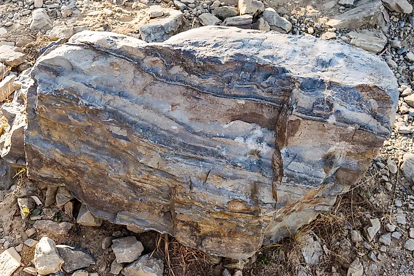 strata of foliated homogeneous metamorphic rock