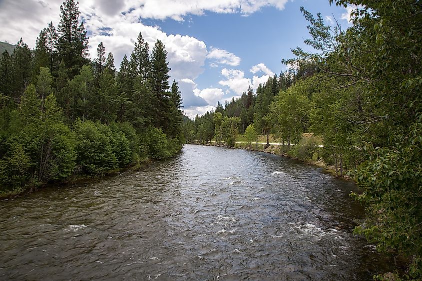 River in Hamilton, Montana.