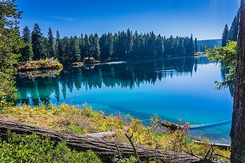 Clear Lake along the McKenzie River Trail in Oregon