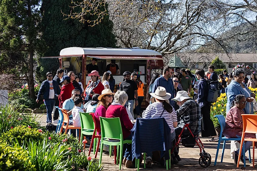 The town of Bowral, New South Wales.
