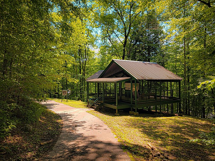 Big South Fork National River and Recreation Area in Stearns, Kentucky