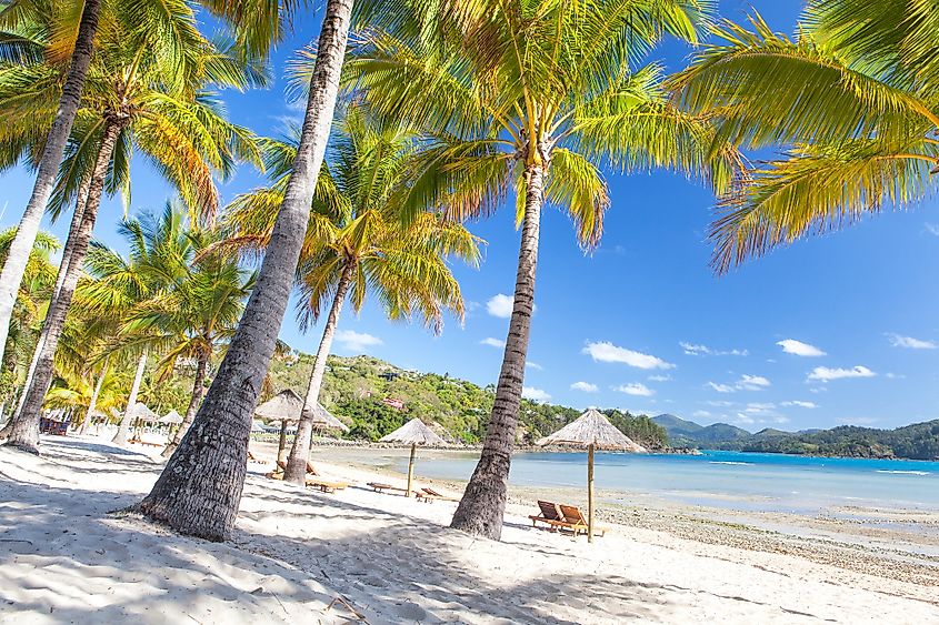 Catseye Beach on Hamilton Island