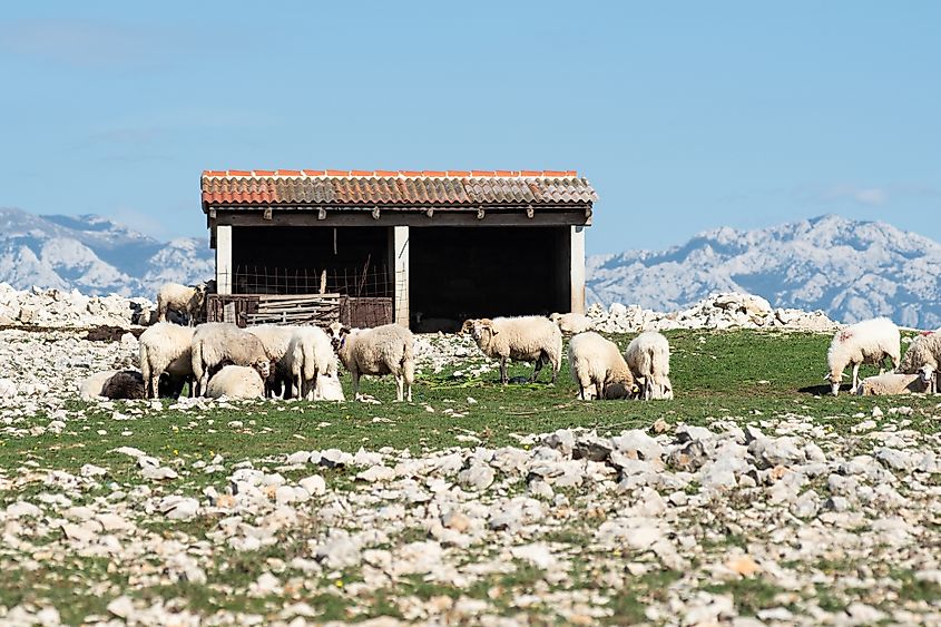 Karst landscape