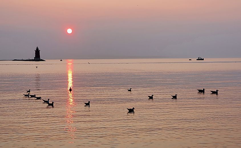 Silhouette of the lighthouse and wild birds during the sunset at Cape Henlopen State Park, Lewes, Delaware