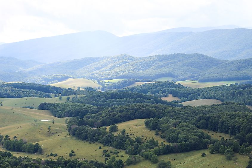 Big Walker Mountain Bland and Wythe County Virginia.