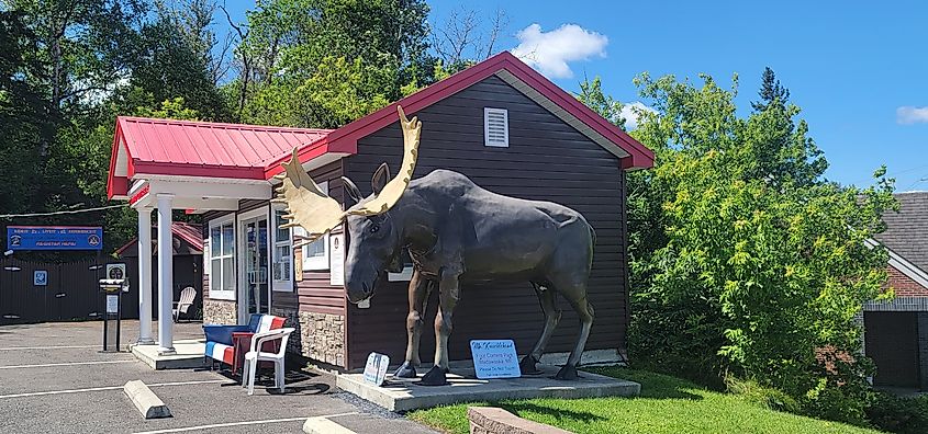 Life-sized moose statue in front of a brown building with a red roof. Surrounded by trees under a clear blue sky. Calm, rural setting.
