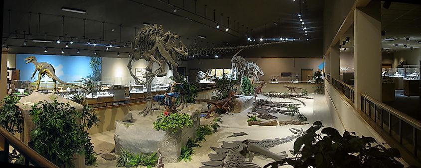 The main exhibit hall of the Badlands Dinosaur Museum, Dickinson, North Dakota.