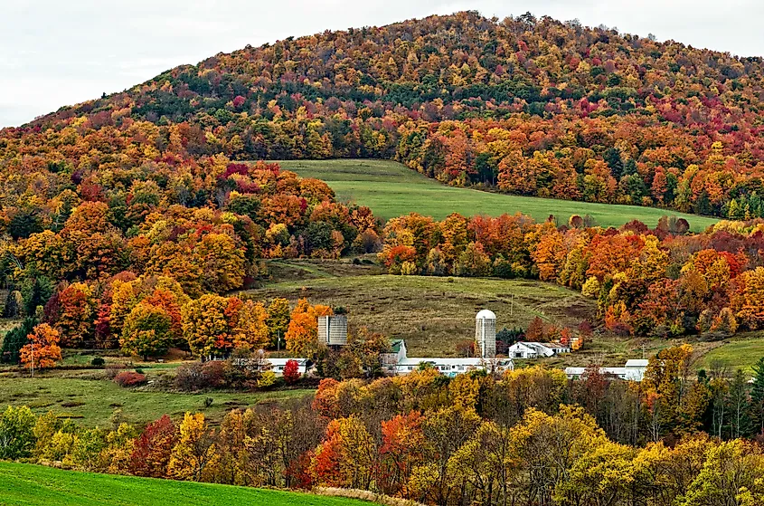 Catskill Mountains, Map, Description, & Facts