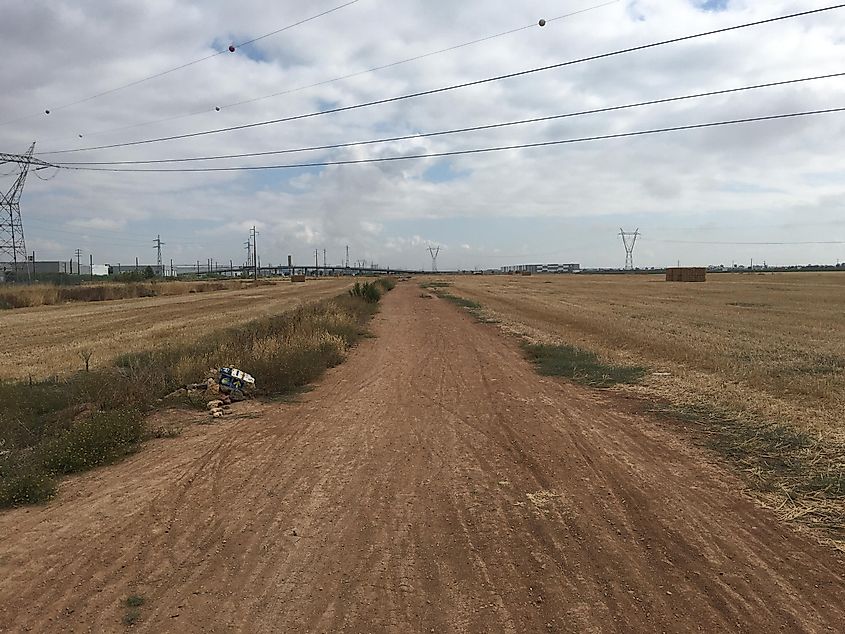 A long dirt road in an open countryside - part of the Camino Portugues