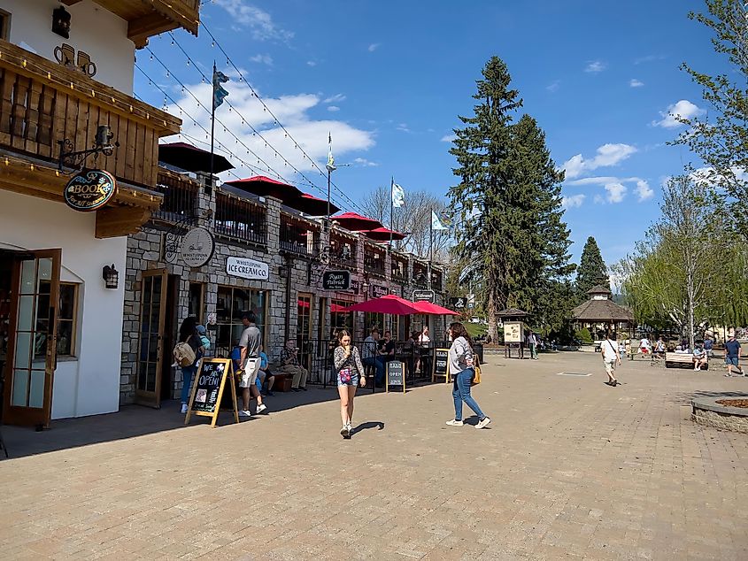 Wide view of people and dogs enjoying sunny weather in the downtown shopping district