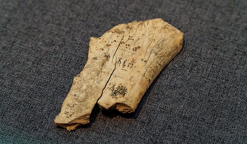 Oracle characters carved on tortoise shells during the Yin Shang period in ancient China.