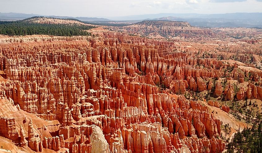 Scenic view of Bryce Canyon National Park in Utah with its red colorful rock formations.