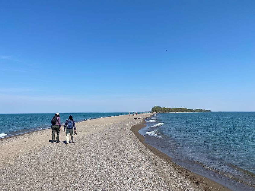Two women walk a long sandy peninsula, toward a forest far in the distance.
