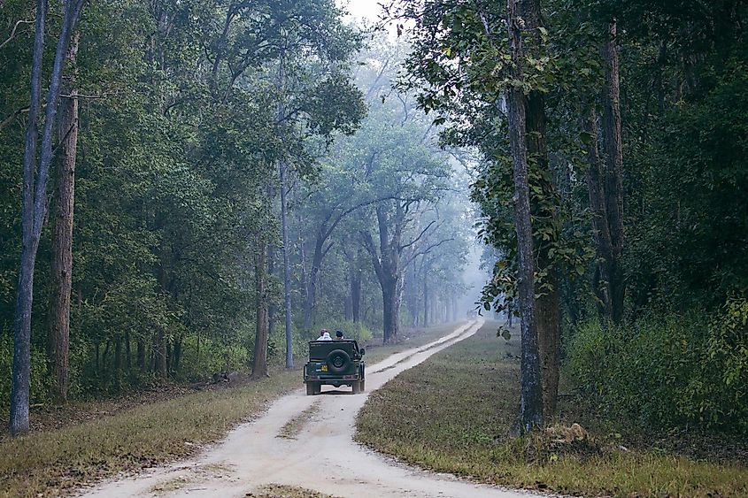 Kanha National Park