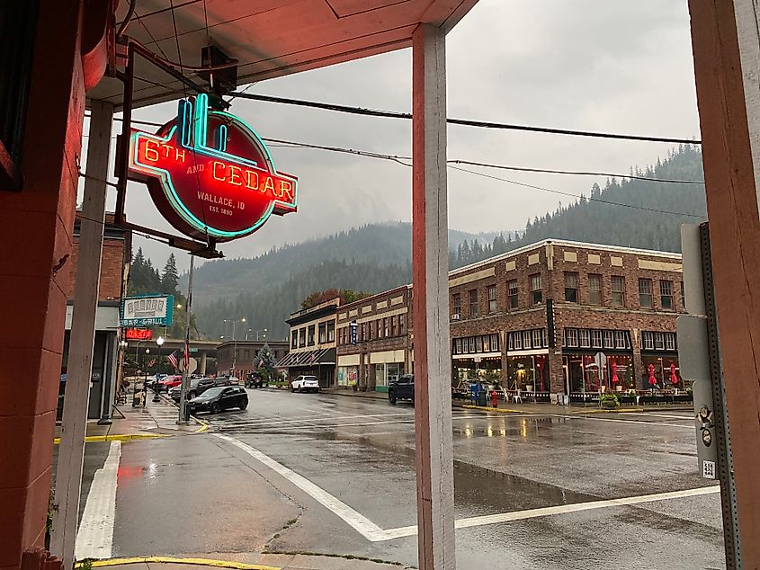 A neon sign for an espresso bar called 6th & Cedar stands before a red-brick downtown on a drizzly morning