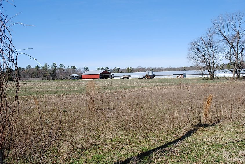 Chipman Pond, Laurel, Delaware.