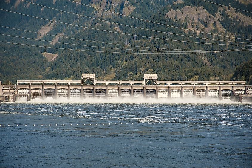 Water spilling from the Bonneville Dam.