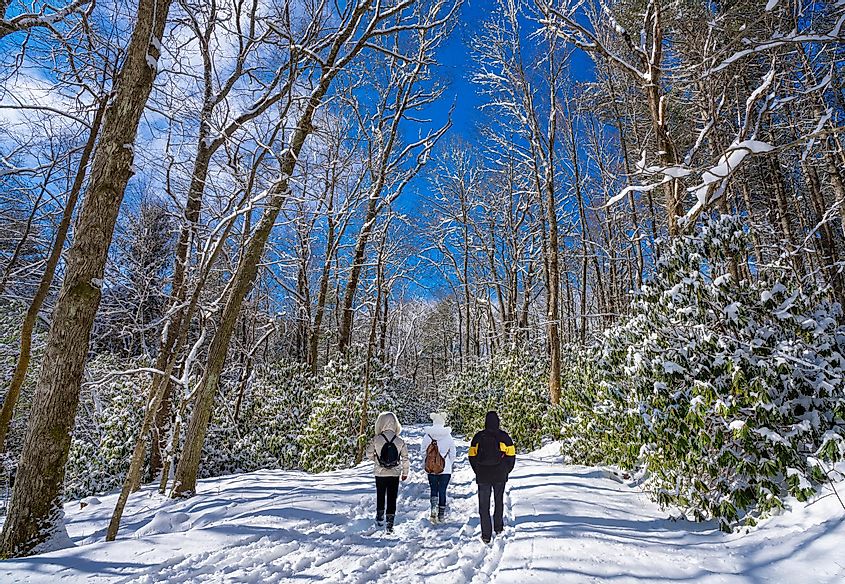 Winter scene in a park in Blowing Rock, North Carolina.