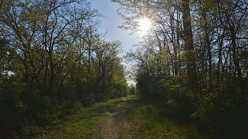 Trail in West Windsor, New Jersey.