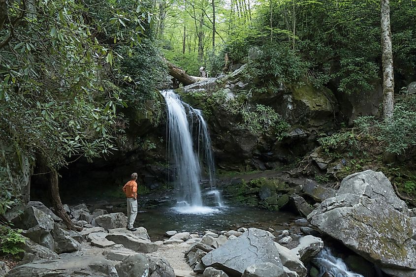 Roaring Fork River and Grotto Falls on the Trillium Gap Trail