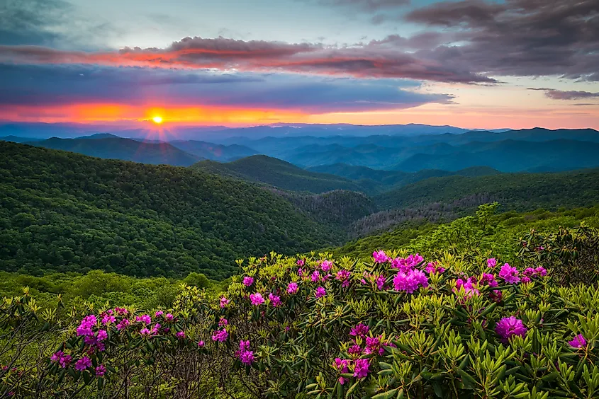 The high, forested Blue Ridge Mountains of North Carolina.