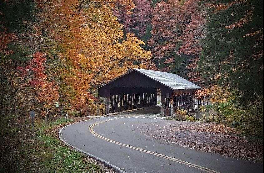 Views of Mohican State Park, Ohio