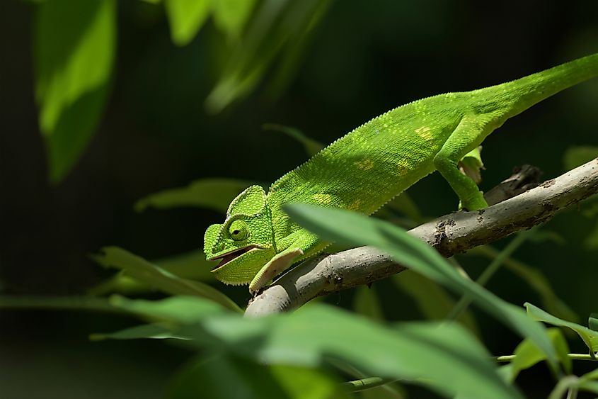  Sanjay Gandhi National Park,Mumbai