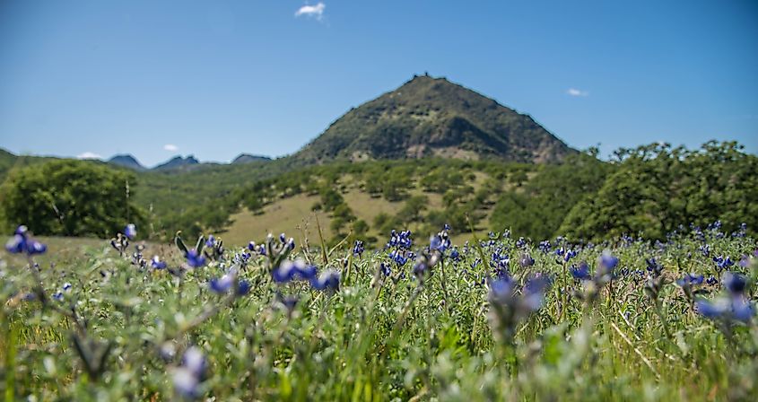 Sutter Buttes in the Spring time.