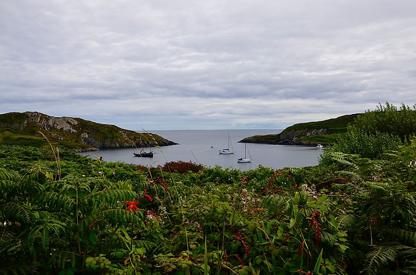 Sherkin Island, Ireland