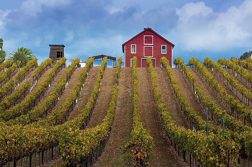 A winery in Healdsburg, California.