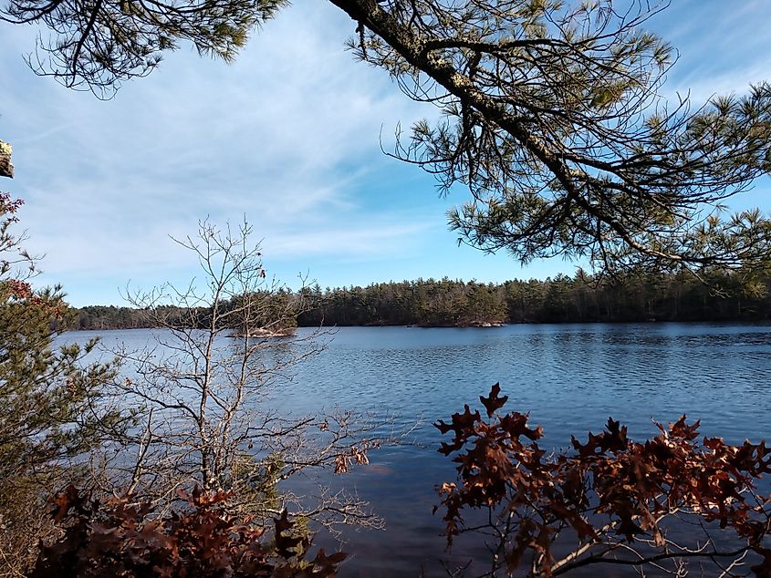 Long and Ell Ponds Natural Area