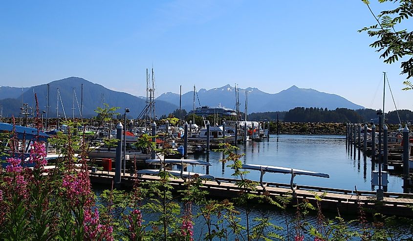 Flowers blooming in the marina in Sitka, Alaska.