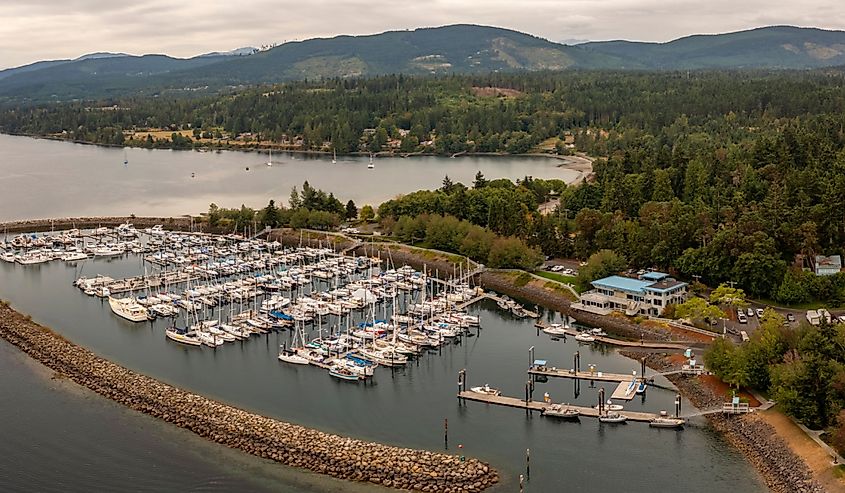 Overlooking the John Wayne Marina, Sequim, Washington.