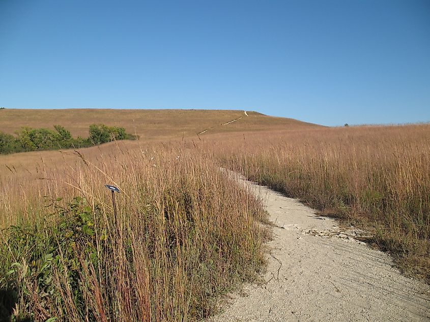 A walking trail in the Konza Prairie Biological Station in Kansas.