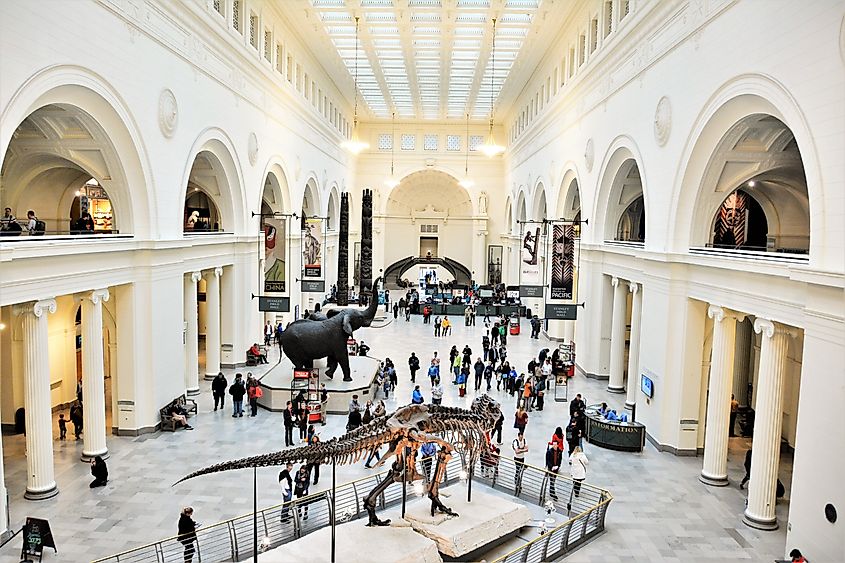 The Field Museum is a natural history museum in Chicago, Illinois