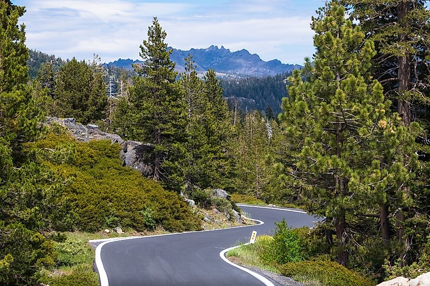 Highway 4 passing through forest in Northern California.