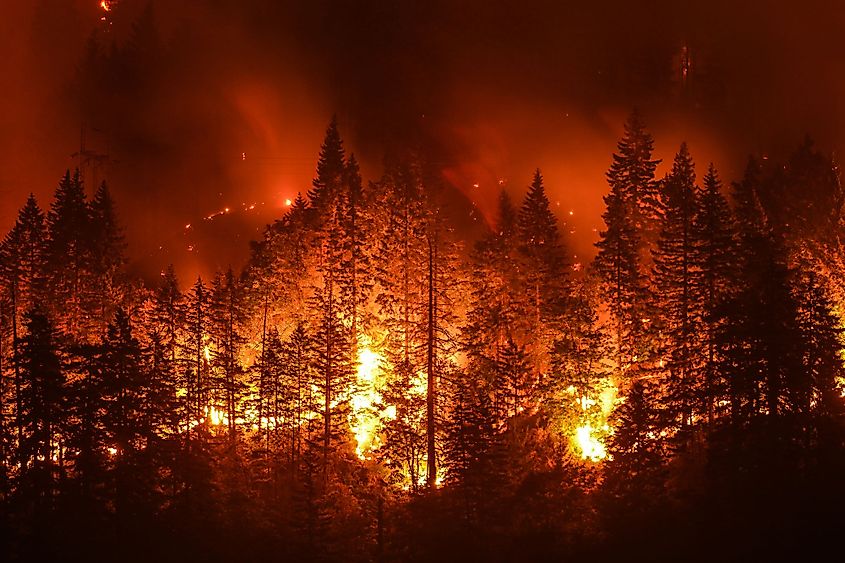 Eagle Creek Wildfire in Columbia River Gorge, Oregon